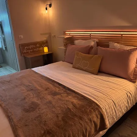 Perle Dazur Jacuzzi Parking Prive 5min 公寓 *